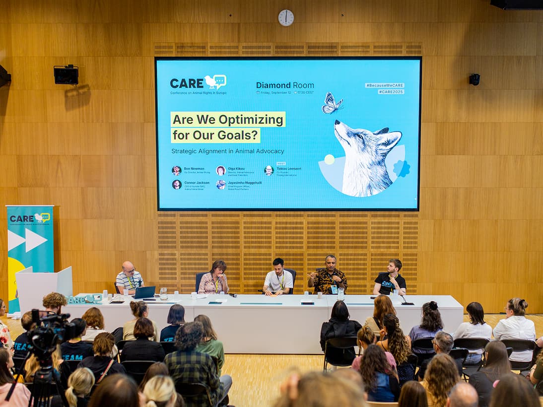 Panel at CARE Conference titled "Are we optimizing for our goals"